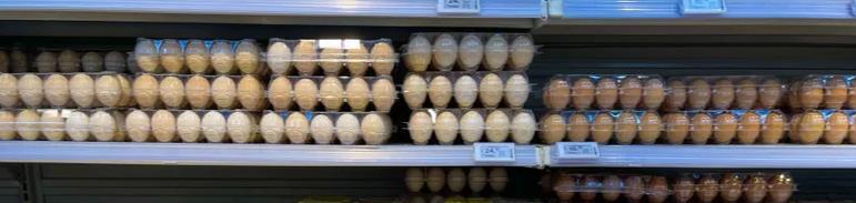 重庆市生物制造研究院正式揭牌