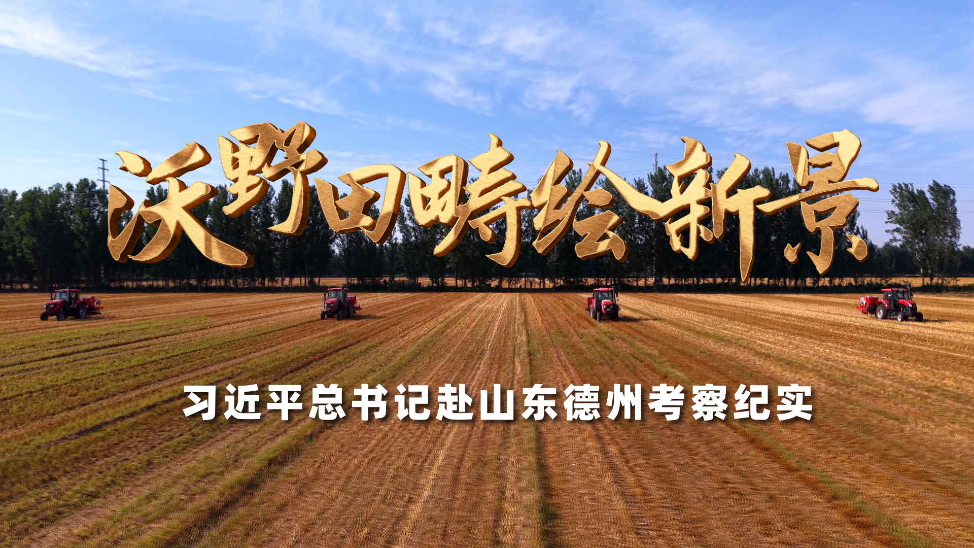 成全免费高清完整版电视剧