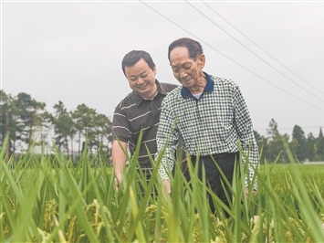 俄罗斯研学团走进东宁校园沉浸式体验中国端午民俗