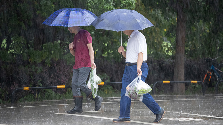 咖香飘四海 侨乡浙江青田咖啡产业提质拓市场