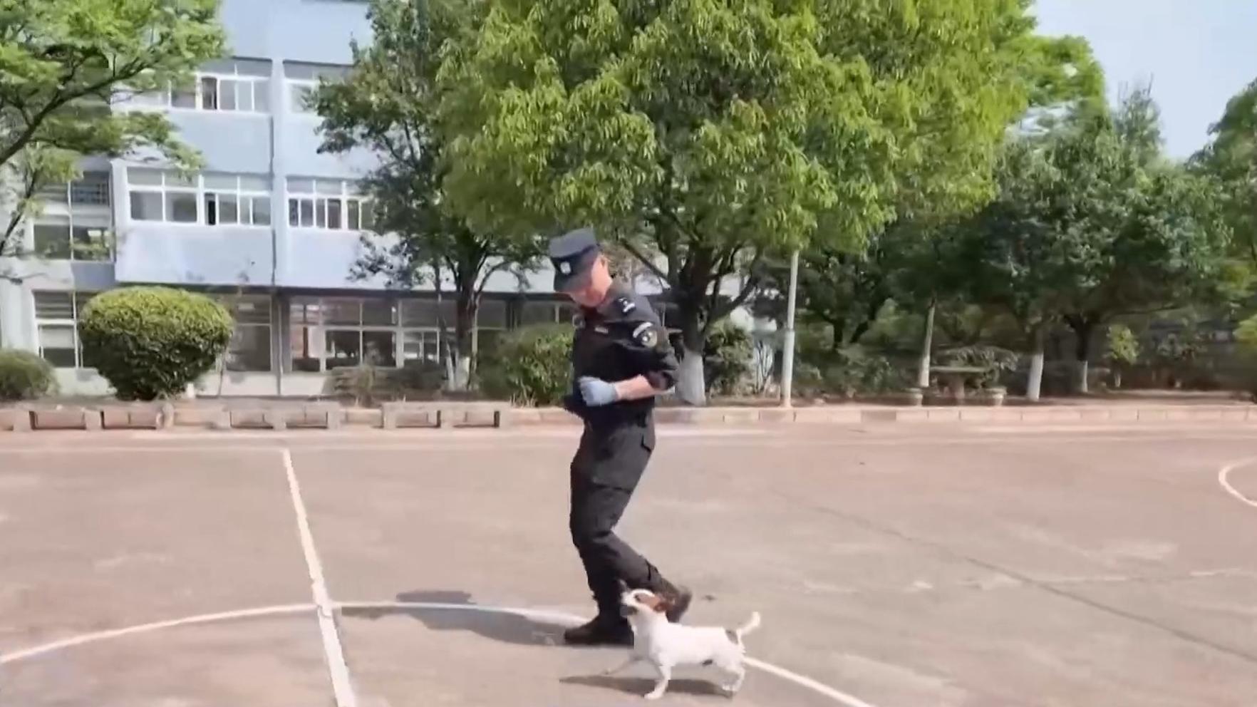 女童被压车底路人秒抬车救人
