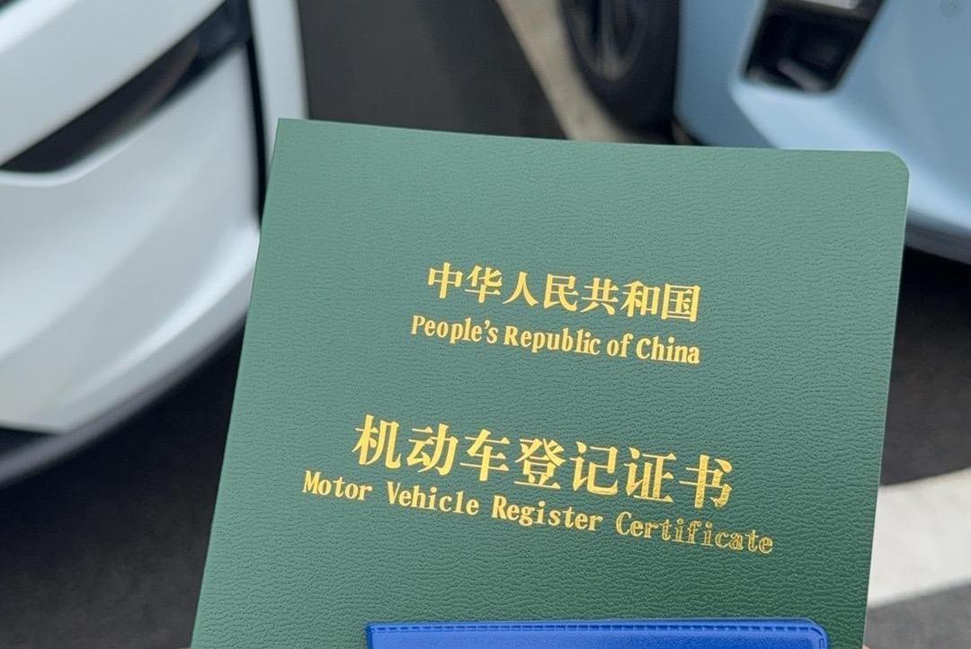 提出“建设有中国特色的社会主义”(伟大征程)