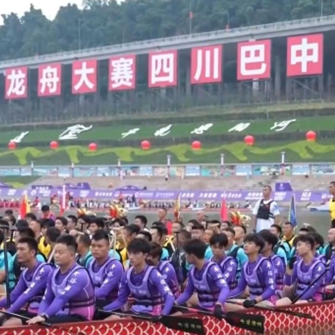 林诗栋比张本智和