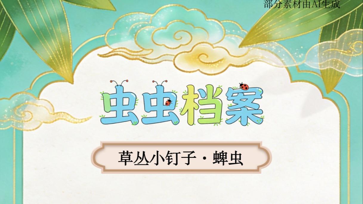总女友颜值