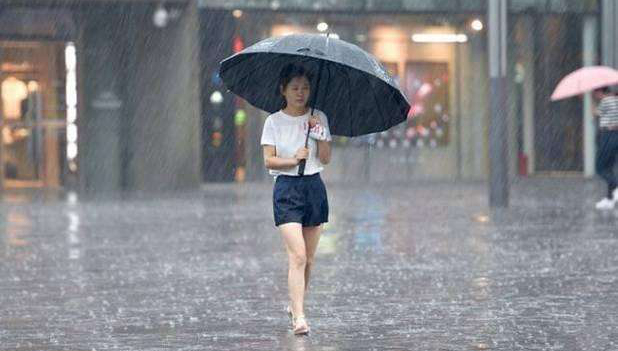 两岸学者齐聚重庆 共赏大足石刻艺术