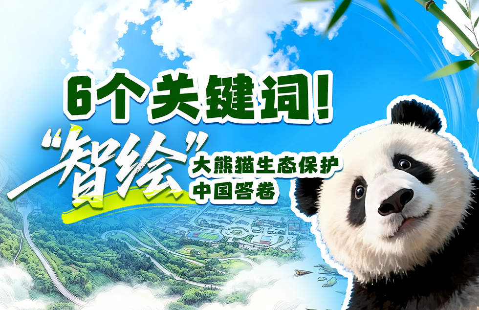 第五人格