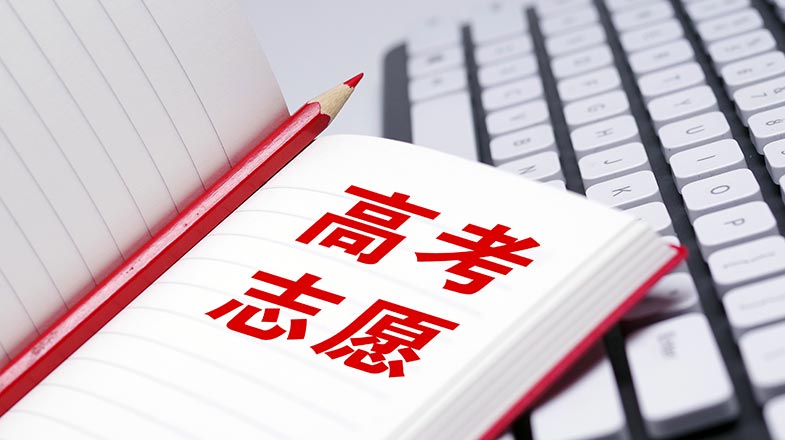 网络热词助力灾情传播:从影视平台到字幕服务